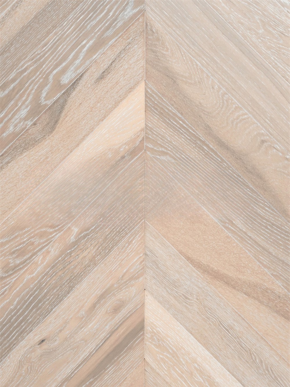 Инженерная доска Wood Bee Дуб Крема Crema французская елка 510×92×12